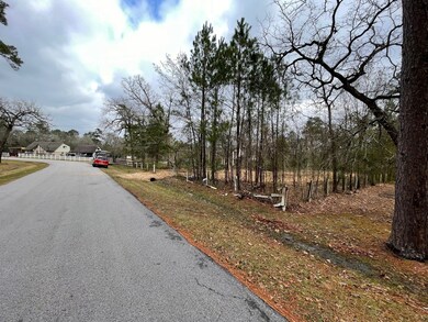 26410 Big Oak Ln, Magnolia, TX 77354 - photo 4