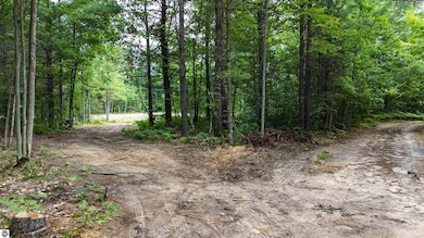 Parcel F Vans Ln, Fife Lake, MI 49633 - photo 4