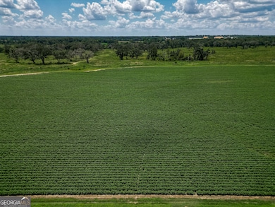 0 Nantze Springs Rd, Arlington, GA 39813 - photo 5