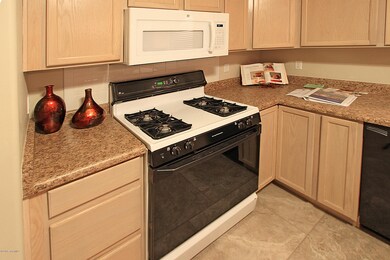 IMG_9860[1]