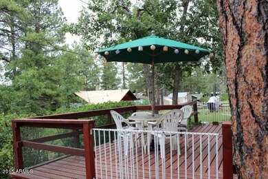 Back Patio