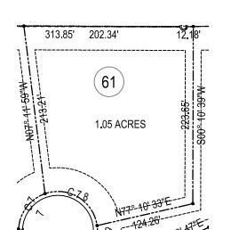 704 Hillwood Cove, Oxford, MS 38655 - photo 3