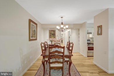 11216 Chestnut Grove Square unit 10, Reston, VA 20190 - photo 4