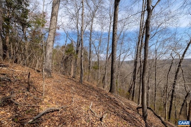 1280 Jones Overlook unit 53, Scottsville, VA 24562 - photo 7