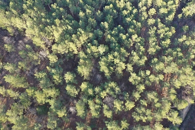 0 Cr 419 Rd, Ripley, MS 38603 - photo 3