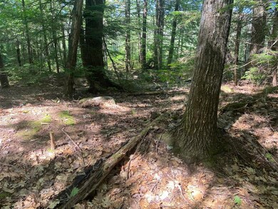 0 Old Rindge Rd unit 16-029-000 4916615, Fitzwilliam, NH 03447 - photo 7