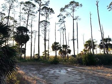 Lot 1 Sr 30-A, Port St. Joe, FL 32456 - photo 4