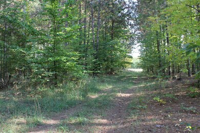 Trail Road
