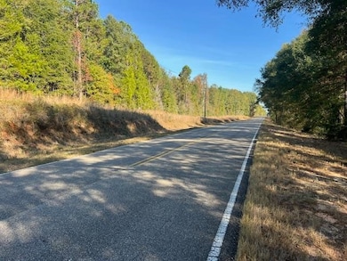 3 ac County Road 404, Elba, AL 36323 - photo 3
