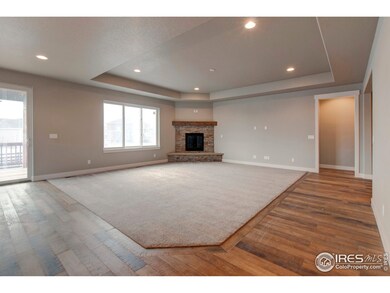 5970 Yellowtail St, Timnath, CO 80547 - photo 5