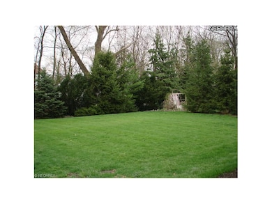 Spacious and private backyard