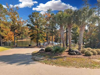 3031 Chilmark Rd, Chapin, SC 26036 - photo 3