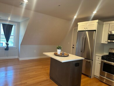 25 Chilcott Place unit 3, Jamaica Plain, MA 02130 - photo 4