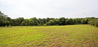 IMG_6939