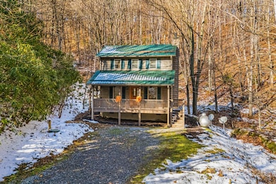 7158 Max Patch Rd, Hot Springs, NC 28743 - photo 4