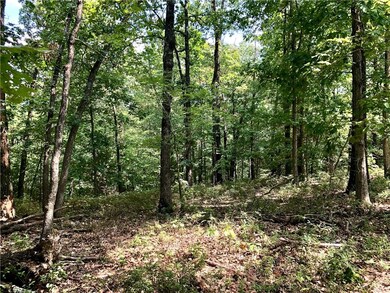 00 Cardinal Rd, Bella Vista, AR 72715 - photo 5