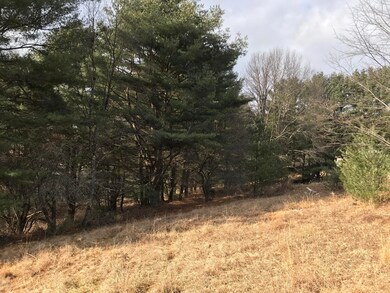 clearing to trees