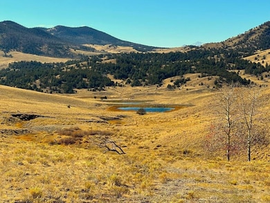 State Highway 9, Guffey, CO 80820 - photo 5