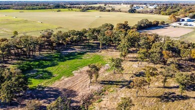 366 Cougar Rd, Lipan, TX 76462 - photo 4