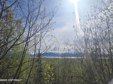 7503 S Knik Goose Bay Rd, Wasilla, AK 99654 - photo 2