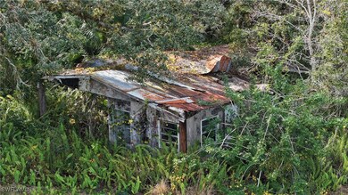 2032 Fernwood Lane, Muse (Glades County) 43.96 Ac