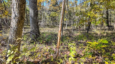 DJI_20251031124147_0095_D