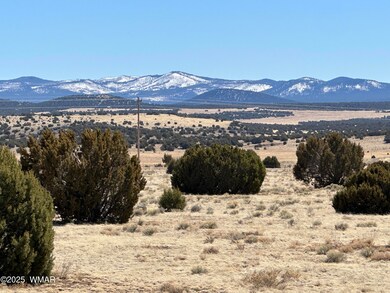 0 Lot 185 Lakeview Ranch Unit 4 unit 255032, Concho, AZ 85924 - photo 2