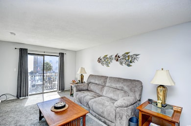 Living area with carpet floors and a textured ceiling