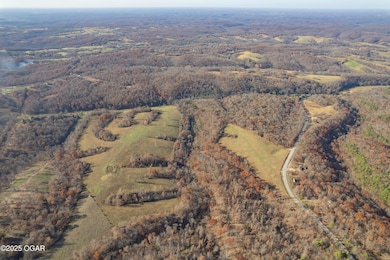 82+/- Acres Route E, Pineville, MO 64856 - photo 4