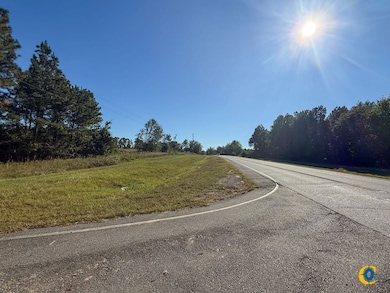 County Road 121, Jacksonville, GA 31544 - photo 2
