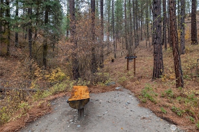 5161 Red Bridge Rd, Cle Elum, WA 98922 - photo 6