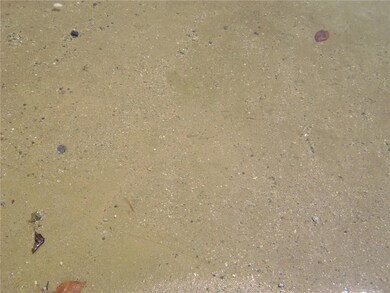 sandy shared beach