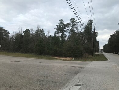 28410 Champion Oaks Dr, Magnolia, TX 77354 - photo 4