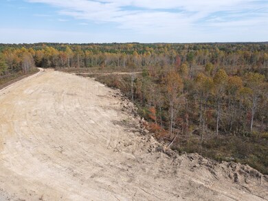 0 Old Highway 18 unit RTC2593446, Stewart, TN 37175 - photo 3