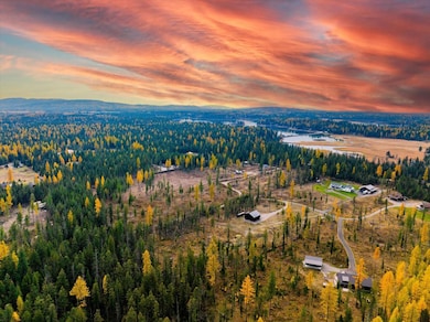 Aerial view at dusk of a wooded view