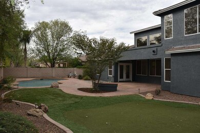 Backyard 1