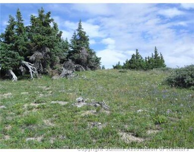 0 Tbd unit S373701, Fairplay, CO 80440 - photo 4