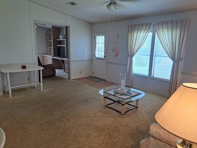 6355 Laramie Loop, Zephyrhills, FL 33542 - photo 4