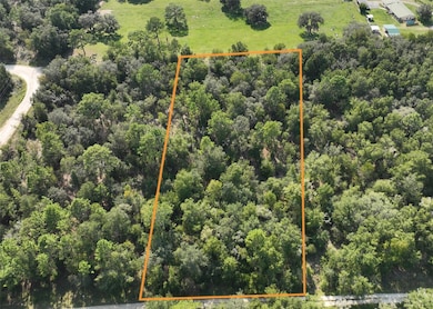 00 NE 150th Ct, Williston, FL 32696 - photo 6