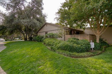 Front Lawn Area