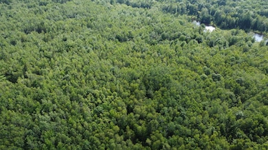 7 Sharon Ln, Harrington, ME 04643 - photo 4