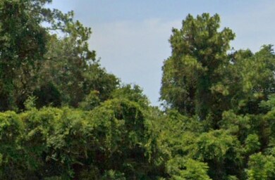 0 SE 17th St unit MFRO6363365, Ocklawaha, FL 32179 - photo 2