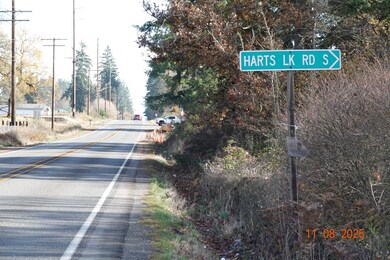 8416 State Route 702 S, Roy, WA 98580 - photo 6