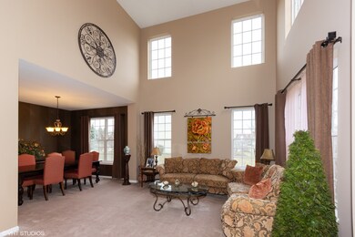 26428 Rustling Birch Way, Plainfield, IL 60585 - photo 2