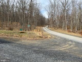 49.76 Acres Ewing Dr, Baker, WV 26801 - photo 6