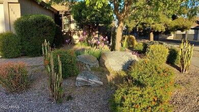 flower view