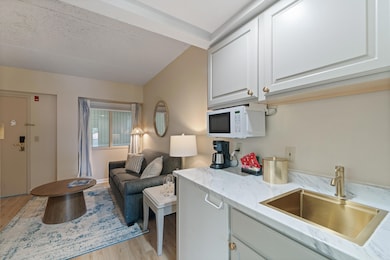 335 Wrigley Dr unit 308, Lake Geneva, WI 53147 - photo 6