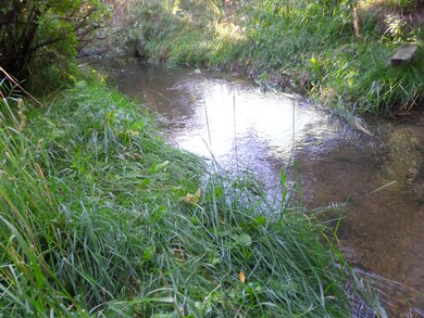 Water running through property! Water ri