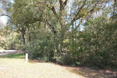 Lot 1 & 2 Blk G Oak Lake Dr, Level Plains, AL 36330 - photo 3