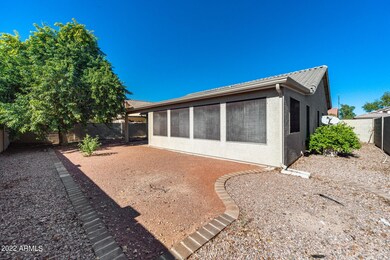 Low maintenance Yard